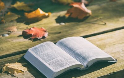 Abiertos a la Palabra de Jesús (Podcast)