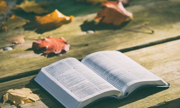Abiertos a la Palabra de Jesús (Podcast)