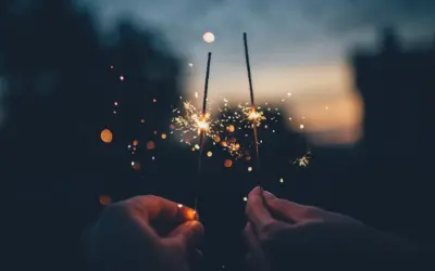 Despidiendo al Año 