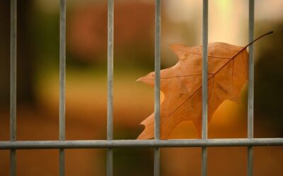 Sed de justicia