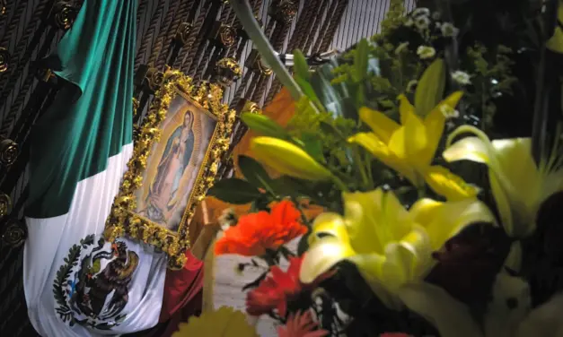 El evento guadalupano