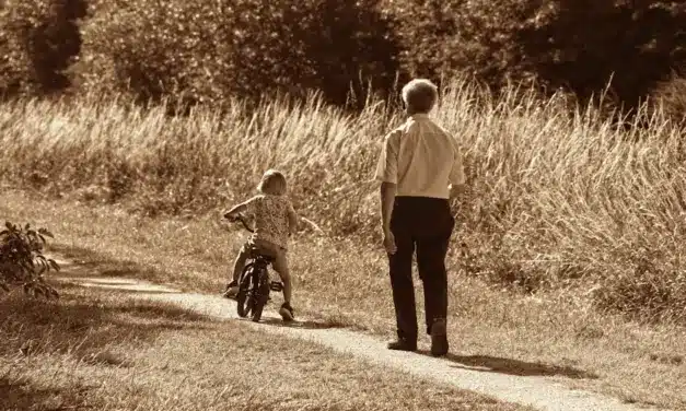 S.O.S abuelos en la mira