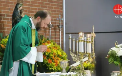 Ofrece una Misa por un 2024 lleno de bendiciones
