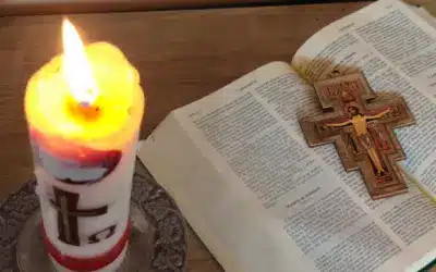 La palabra falsa ante la palabra verdadera