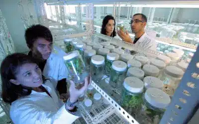 La ciencia y los científicos