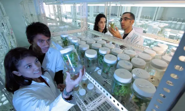 La ciencia y los científicos