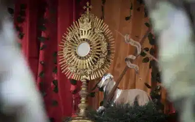 Dejarse seducir por el misterio del Cordero de Dios