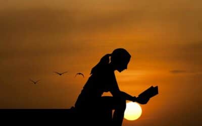 ¿Qué bienes reporta la lectura?