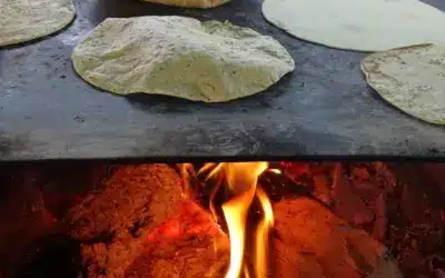 Un campeón de la ordeña