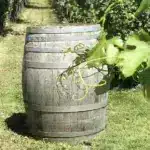 wine-barrel-4881126