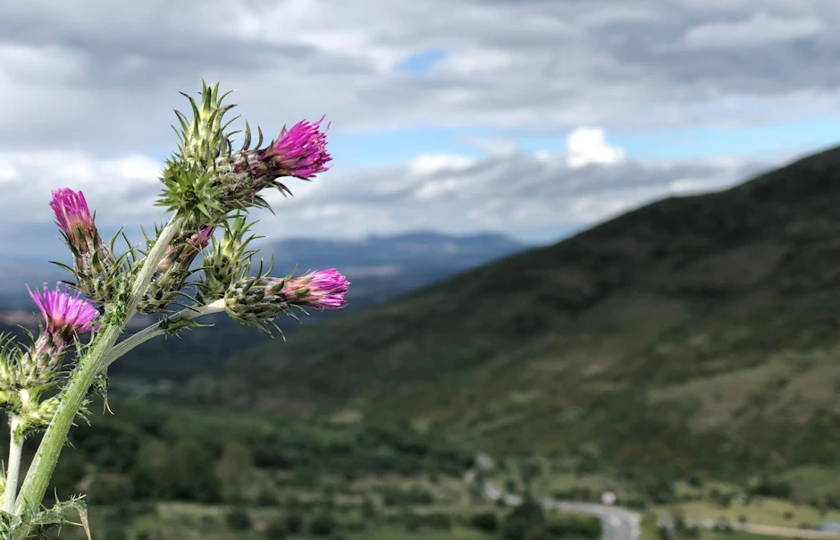 A través del desierto Dios nos guía a la libertad