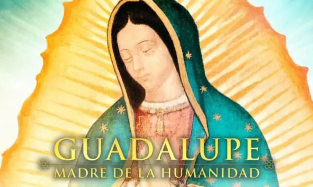 Toca y renueva corazones “Guadalupe Madre de la Humanidad”
