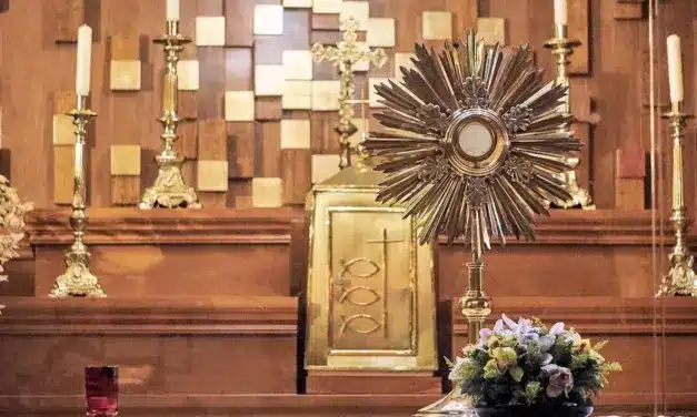 «Que en Cristo Nuestra Paz, México tenga Vida Digna»: subsidios de oración por la paz