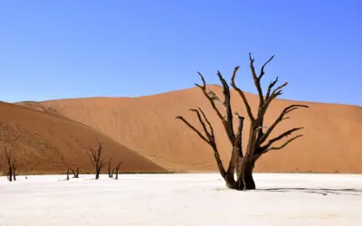 Desierto espiritual en el siglo XXI