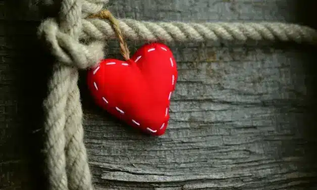 Quien permanece en el Amor permanece en Dios y Dios en él