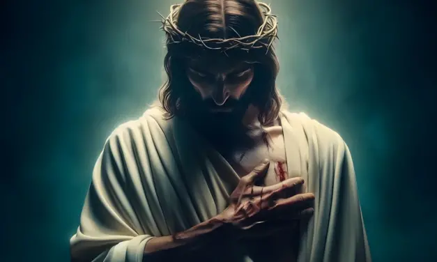El corazón traspasado de Jesús manantial de la misericordia