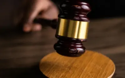 Autoritarismo contra totalitarismo presidencial