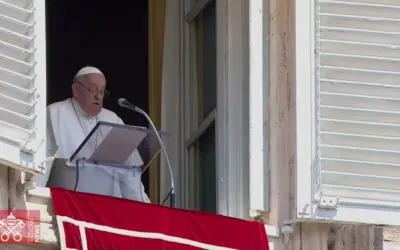 Siete días con el Papa Francisco (video)