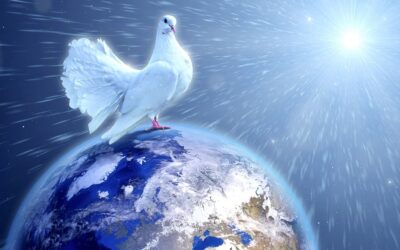 Perdón y paz: el tema de la Jornada Mundial de la Paz en 2025
