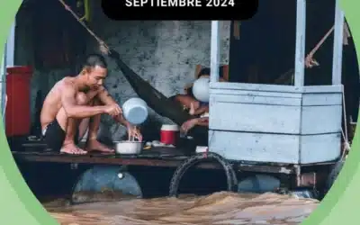 Por el clamor de la Tierra – El video del Papa – Septiembre 2024