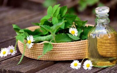 La Iglesia, fábrica de medicinas espirituales