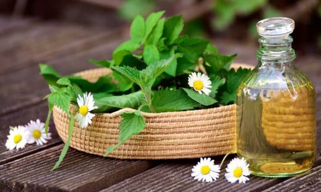 La Iglesia, fábrica de medicinas espirituales