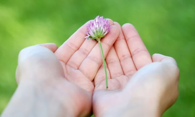Enseñanza del que tiene corazón de pobre ante la neurosis de poseer