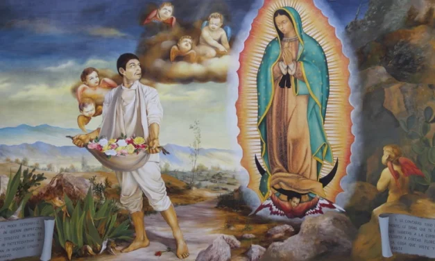 La voz de la tórtola se ha escuchado en nuestra tierra
