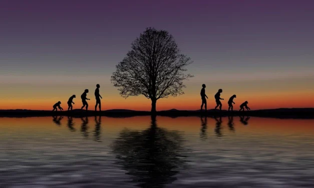 Evolucionismo y dignidad humana