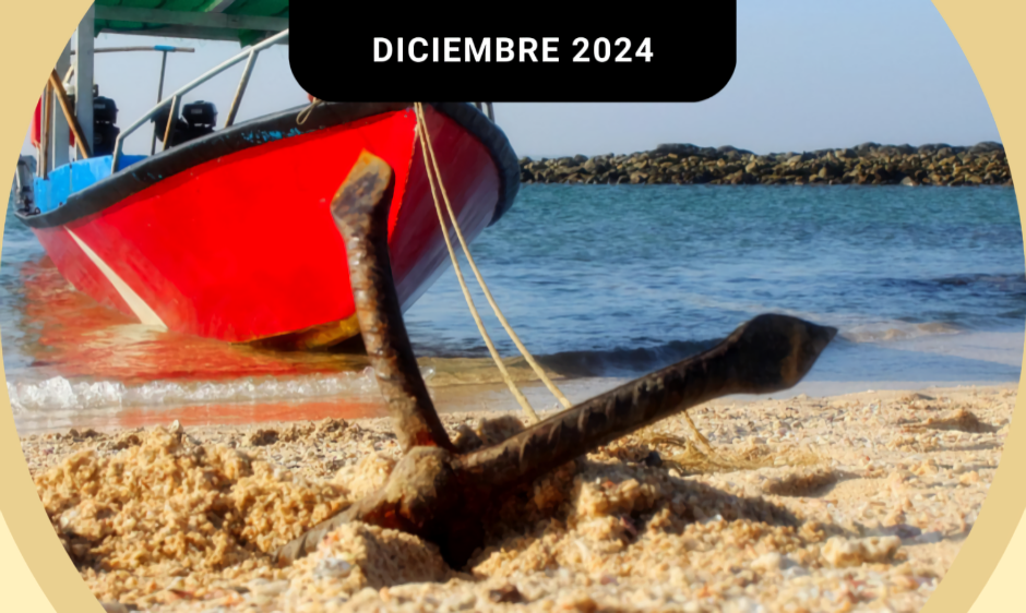 video del papa dic2024