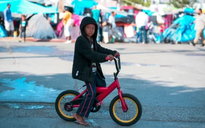 Crisis antropológica