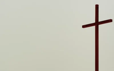 El Observador 1546