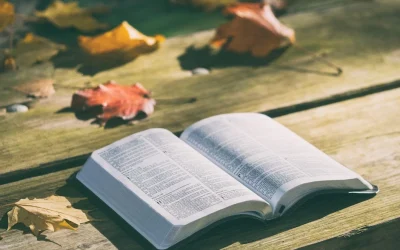 Felipe al etíope: ¿Entiendes lo que lees?