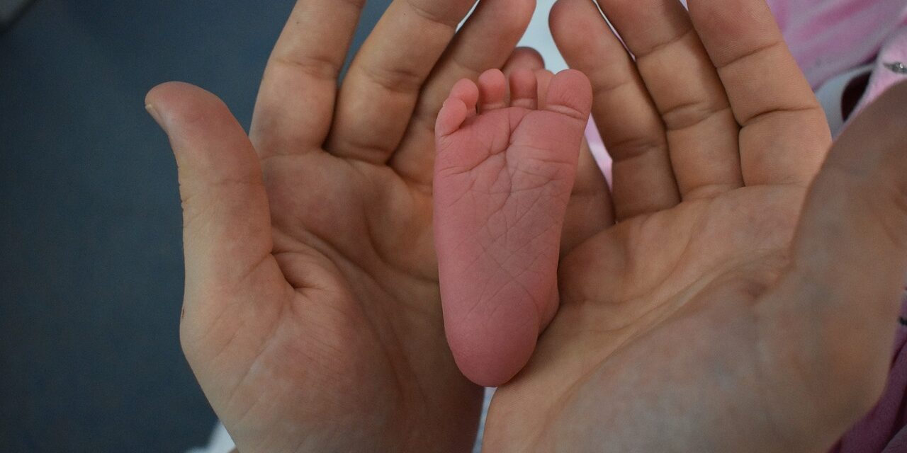 Razones jurídicas contra el aborto