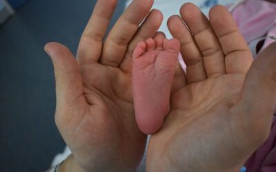 Razones jurídicas contra el aborto