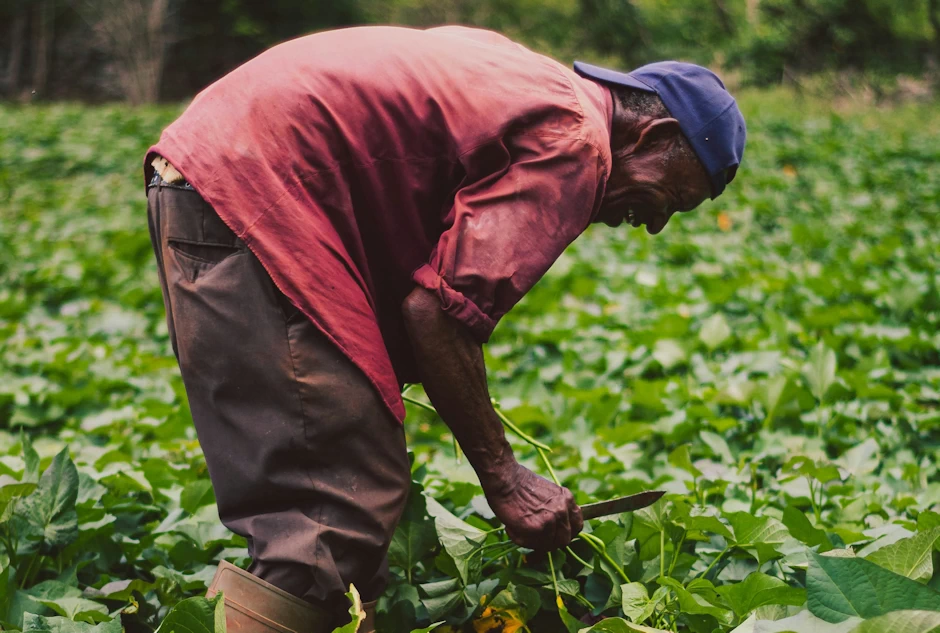 La (agri)cultura del odio