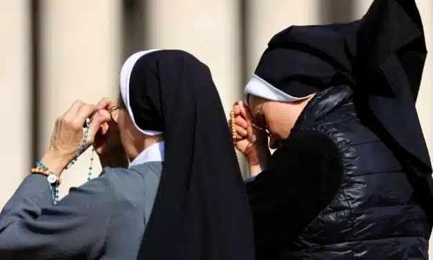 El Papa: Rezo por la paz. Desde aquí la guerra parece aún más absurda