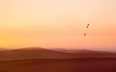 Con la «palabra» venceremos al maligno