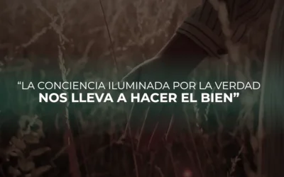 ¡Semana por la Vida! La conciencia iluminada por la verdad nos lleva a hacer el bien (Video)