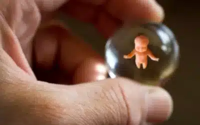 Semana por la Vida en México: «Promovamos la familia y la educación en valores»