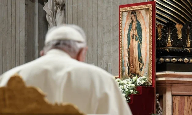 La Iglesia poliédrica del Papa Francisco