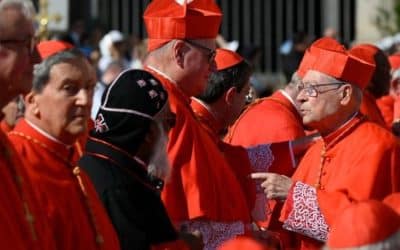 Reza por un cardenal: la propuesta de Hakuna para participar en el cónclave