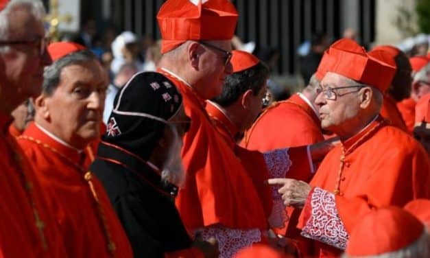 Reza por un cardenal: la propuesta de Hakuna para participar en el cónclave