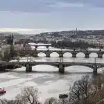 alabanza de los puentes