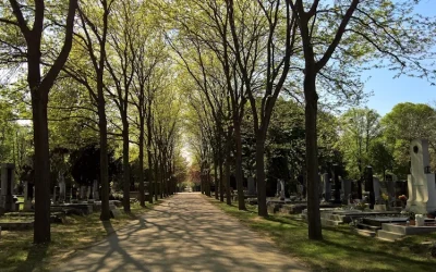 «Despierta tú que duermes, levántate de entre los muertos y Cristo será tu luz»