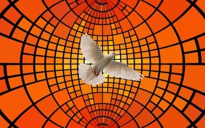 ¿Quién elige al Papa?