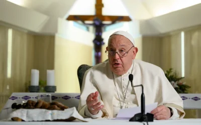 Francisco: el Papa de lo pequeño
