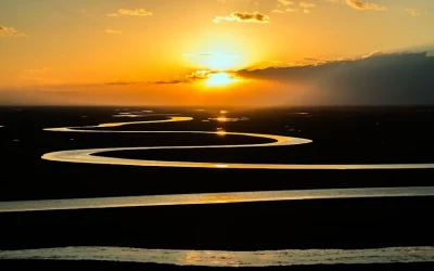 Muertes sin reflectores