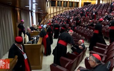 El próximo Papa no será perfecto, ni progresista o conservador (Video)