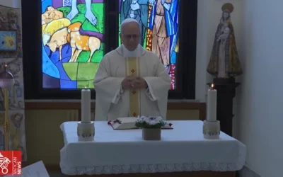 La semana del Papa León XIV (video)